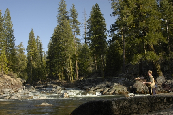 Me fly fishing in Silver Fork