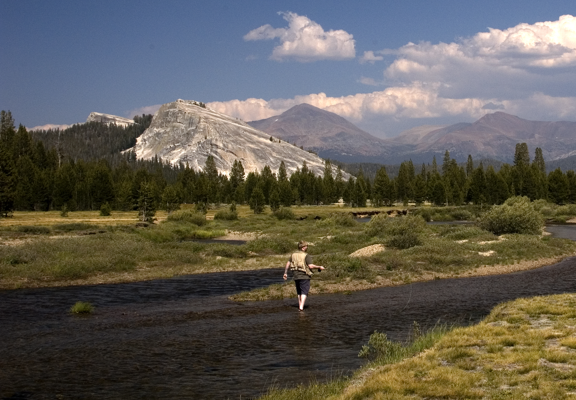 Tuolumne Meadows July 2008